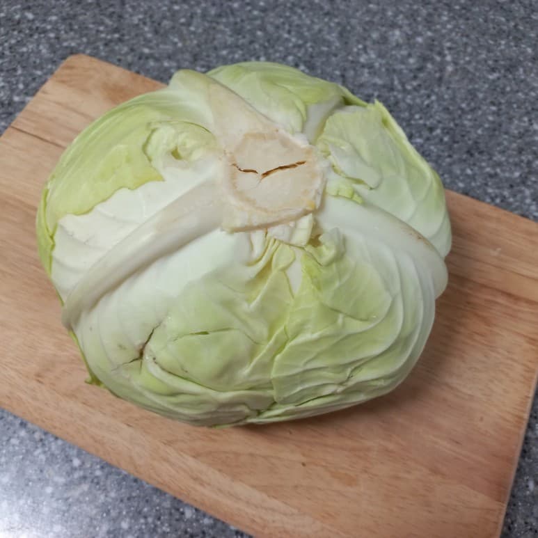 양배추보관법 간편 양배추 냉장보관하기 [ft. 양배추 보관기간]