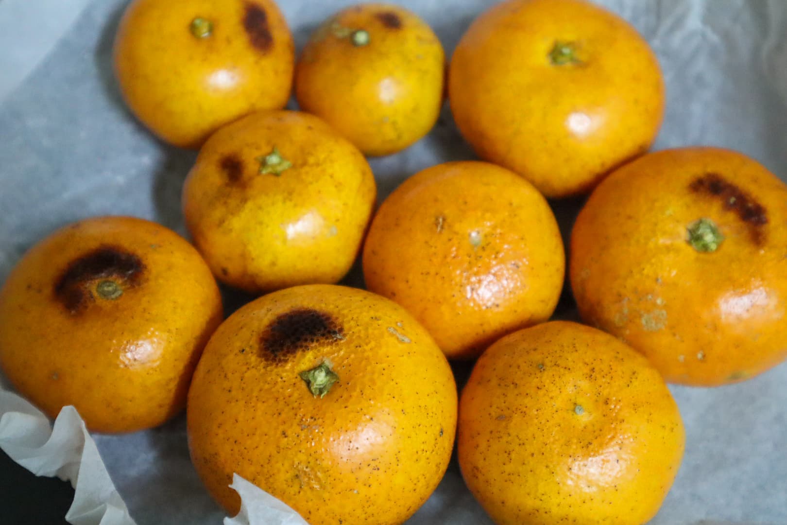 귤 굽는법 오븐귤구이 비타민가득 귤굽는방법 에어프라이어 팬 귤구이 감기예방