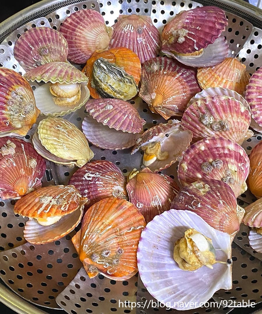 홍가리비 찌는법 가리비 삶는법 칼국수 만드는법