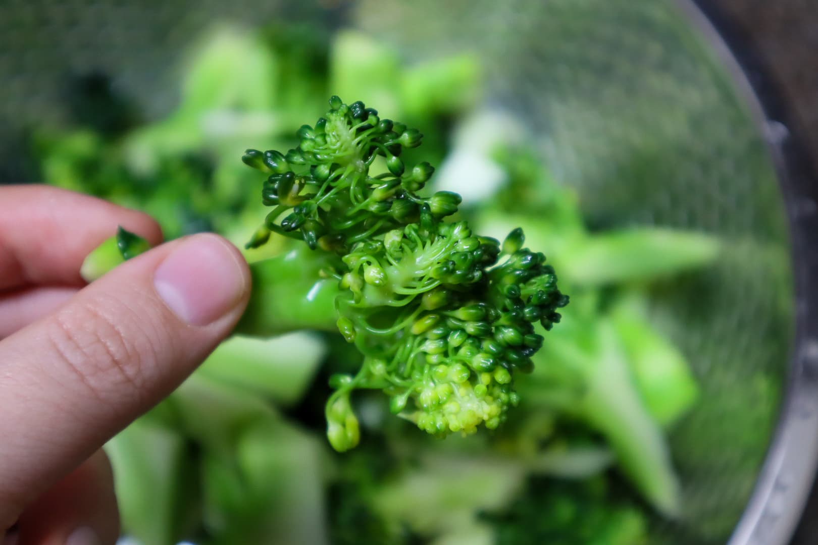 브로콜리 삶는법 브로콜리 손질법 브로콜리 데치는법 채소 다이어트