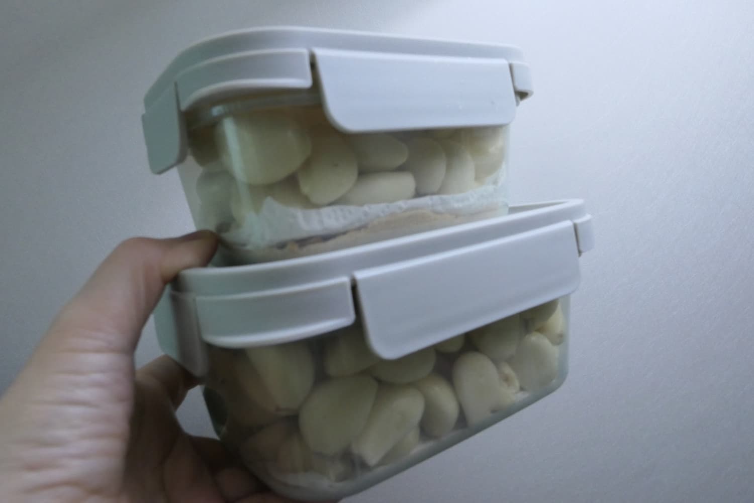 마늘보관법 깐마늘냉장보관하기